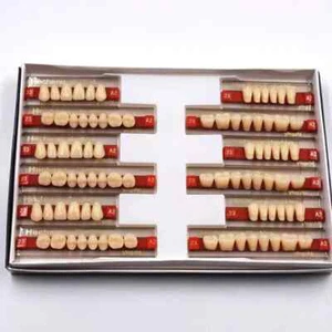 3 Set of 84 Denture Dental Acrylic Resin Teeth VITA Color A2 Upper+Lower Shade - Picture 1 of 16