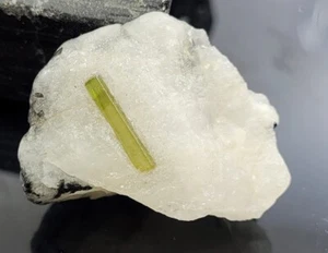 49.70 Ct Natural Tourmaline Pencil On White Quartz Beautiful Tourmaline Rough - Picture 1 of 4