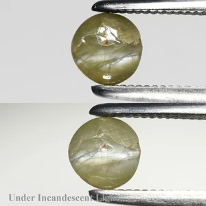 💎 0.63ct Round Cabochon Natural Green Cat's Eye Chrysoberyl - Sri-Lanka Gem - Picture 1 of 6