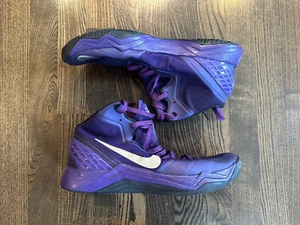 Nike Hyperdisruptor 2013 Aaron Brooks PE Sacramento Kings talla 12 (376795 PC) - Imagen 1 de 7