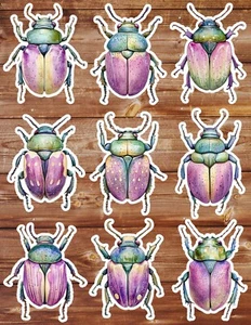 Beetle Die Cut Vinyl Stickers Scrapbooking Laptop Waterbottle - Picture 1 of 1