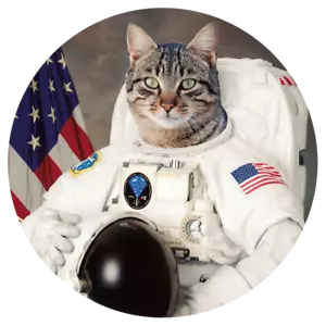 Funny Nasa Space Astronaut Cat Sticker Phone Case Laptop Bumper Decal #RS26 - Picture 1 of 2