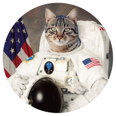 Divertida calcomanía adhesiva para teléfono portátil con gato astronauta espacial de la NASA #RS26 Foto 1 de 2