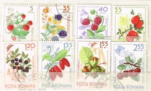 Romania Flora Berry Plants Insects set 1964 - Picture 1 of 1