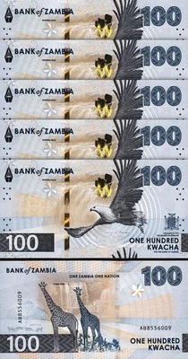 Zambia 100 Kwacha 2024 2025, UNC, 5 Pcs LOT, P-65, New Design, GIRAFFE - Image 1 of 4
