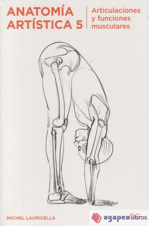 Anatomía artística 5 Articulaciones y funciones musculares - Imagen 1 de 1