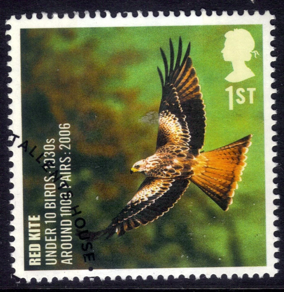 GB 2007 QE2 1st Action For Species Birds Red Kite Ex Fdc SG 2766 ( L470 ) - Image 1 of 1