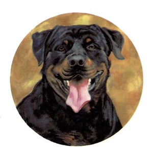 Calcomanías de cerámica para tobogán acuático Rottweiler Dog 3 piezas 3" - Imagen 1 de 1
