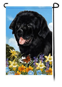 Bandera de jardín con flores de verano - Terranova negra - Imagen 1 de 1