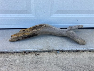 Driftwood Light Tan Hollow Log Habitat Aquarium or Terrarium Fish Tank Natural - Image 1 of 4