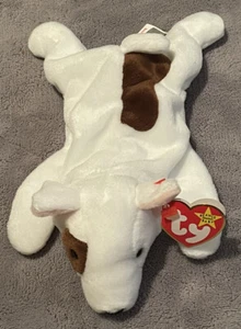 TY Beanie Babies Butch The Dog With Errors READ DESCRIPTION - Picture 1 of 10