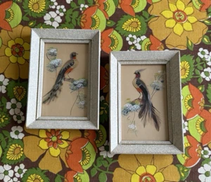 Dipinti uccellini con cornice vintage anni 50 con piume - Foto 1 di 16