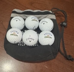Presidio Golf Course Logo Callaway Balls & Carrying Bag & Tees San Francisco - Picture 1 of 3