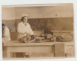Photo Medicine Students practice Examination Veterinary pathologist? Creepy ODD - Picture 1 of 2