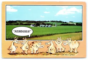 Postkarte We're Oinkin It Up in Nebraska Schweine Kunst von David Luebke - Bild 1 von 2