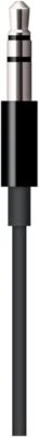 Apple Lightning to 3.5mm Audio Cable 1.2M - Black MR2C2ZM/A - Image 1 of 2