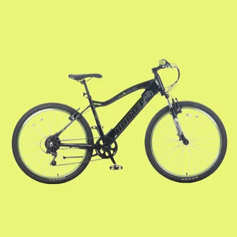 Electric bikes