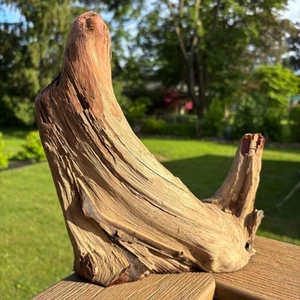 Red Cedar Driftwood 11x7x9.5 – Deep Red Wood for Reptiles, Decor, or Displays - Picture 1 of 10