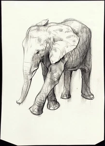 HUGH LAYMAN seltene & große Original ca. 1960er-70er Jahre Nachlass Zeichnung eines ELEFANTEN - Bild 1 von 1