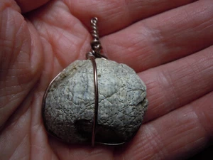 Ancient Fossil Shell Chalcedony Copper Wire Wrap Pendant Kansas Stone 115 Carats - Picture 1 of 12