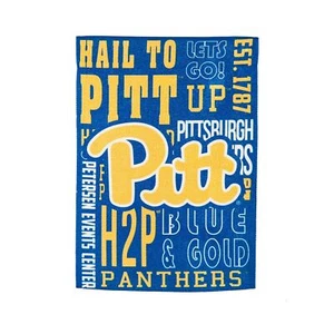 Bandera de hoja perenne, universidad, 18""x12,5", reglas de ventilador ES Gar, Universidad de Pittsburgh - Imagen 1 de 3