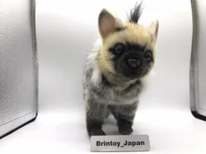 HANSA Aardwolf Pups 28 From Japan - Picture 1 of 9