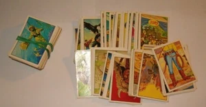 BIG JIM - 1977 - MATTEL - PANINI - FIGURINE NUOVE NON DA RECUPERO - Foto 1 di 1