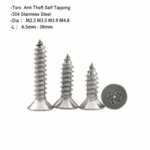 Tornillo Autogolpe 304 Acero Inoxidable Torx Antirrobo M2.9 M3.5 M3.9 M4.8 - Imagen 1 de 6