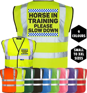 Equine Hi-Vis HORSE IN TRAINING SLOW DOWN Horse Equestrian Safety Vest Tabard - Picture 1 of 18