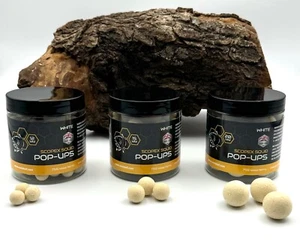 Nash Pop Ups Scopex Squid White 12mm 15mm 20mm 75g Boilies Karpfenfutter Köder - Bild 1 von 4