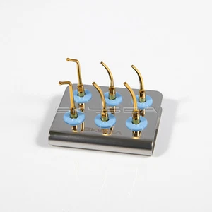 6x Prótesis punta escaladora dental dorada para pájaro carpintero serie UDS C1T C2T C3T - Imagen 1 de 4