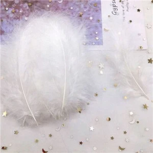 Natural Colorful Turkey Soft Feathers -Craft Sew Decoration Plume Feathers 50pcs - Picture 1 of 35
