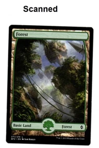 MTG Forest Basic Land *Full Art* Fate Reforged 2015 Near Mint Preowned - Picture 1 of 2
