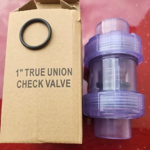 PVC Spring Ture Union Check Valve, 1In Slip Swing Utility Water One Way Check Va - Picture 1 of 4