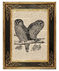 Par de búhos #3 impresión artística en página de libro vintage oficina en casa decoración colgante pájaros regalos - Imagen 1 de 3