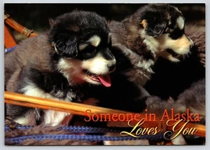 Postcard Alaska Husky Puppies Racing Dogs Canis lupus familiaris Loves You - Picture 1 of 2