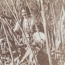 Mexico Vega Sugar Cane Plantation Piloncillo Girls Farm Field Stereoview F247