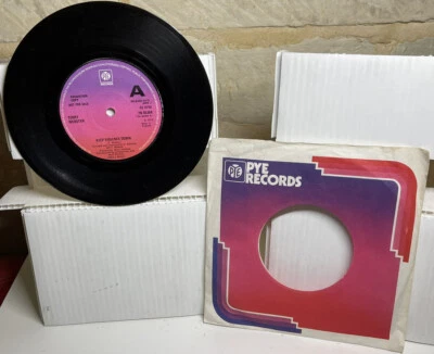 TERRY WEBSTER KEEP VIOLENCE DOWN 7" VINYL 1974 ADVANCE PROMO PYE RECORDS 7N45364 Foto 1 de 4