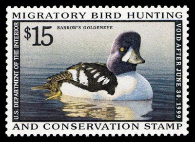 RW65 — XF-Superb 95 NH, PSE Certificate - Image 1 of 2