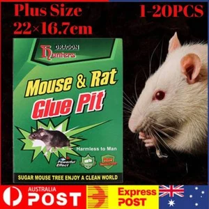 1-10X SPECIAL OFFERS Mouse Traps Rat Mice Mouse Trap Board Snare Catcher Board - Picture 1 of 16
