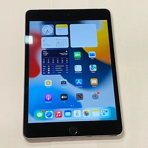 iPad Mini 4 64GB Grey Wi-Fi+4G Unlocked 7.9in Screen Apple Tablet - Battery 76% - Picture 1 of 15