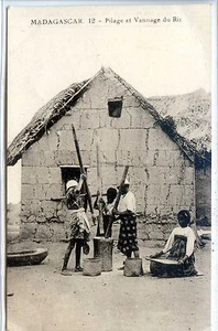 CP Madagascar - Pilage et Vannage du Riz - Picture 1 of 2