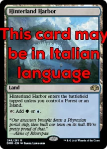 MTG HINTERLAND HARBOR FOIL EXC - PORTO DELL'ENTROTERRA 248 - DMR - MAGIC - Bild 1 von 1