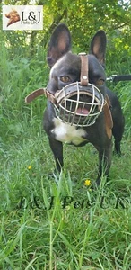 Best Basket Muzzle for French Bulldog | Basket Muzzle for Frenchies - Picture 1 of 16