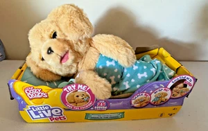 Little Live Pets: Cozy Dozy Charlie der Welpe kuschelig und weich Stofftier Plüsch - Bild 1 von 6