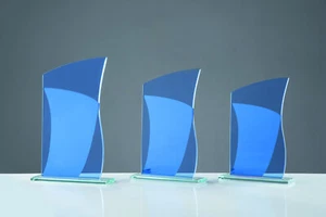 3 Serie Glas,Trophy, Glasständer, Sport, inkl. Gravur und Emblem 844 - Bild 1 von 10