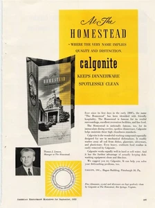 Pubblicità stampa vintage 1953 Homestead Calgonite tenere stoviglie perfettamente pulite Chinaware - Foto 1 di 1