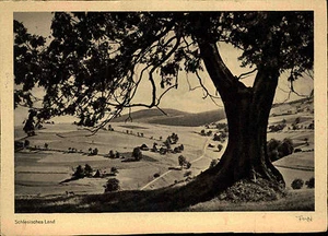 Schlesisches Land Polen 1952 Partie ad. Alten Berg Esche Grunwald 2x4 Posthorn - Bild 1 von 2