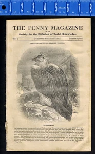 Lammergeyer or Bearded Vulture, Norman Fruit Woman -Penny Magazine Dec 12 1835 - Picture 1 of 2