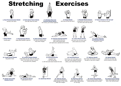  Stretching Exercises, Gym, Fitness Poster Print  A0-A1-A2-A3-A4-A5-A6-MAXI 145 - Image 1 of 2